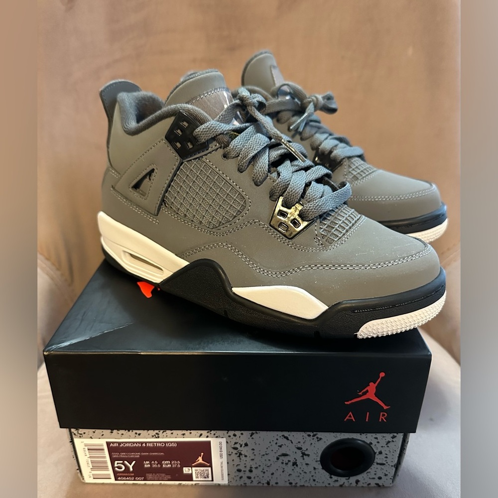 Jordan 4 Retro Cool Grey (2019)